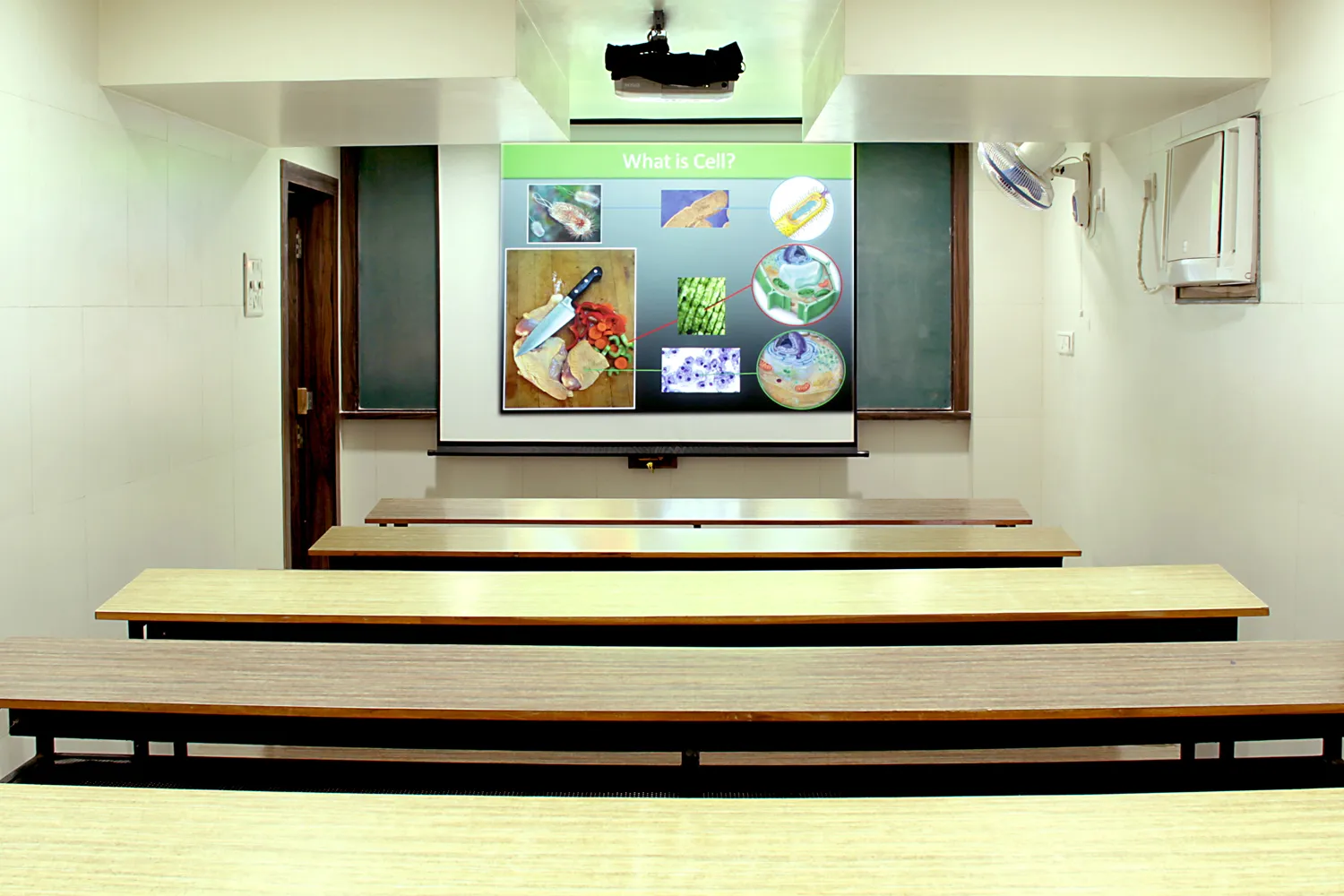 Gallery 5