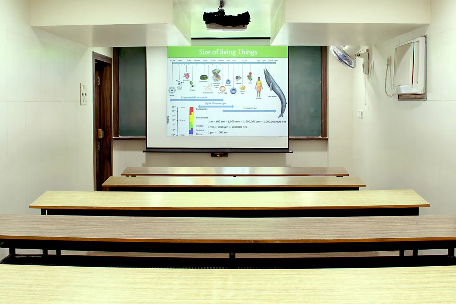 Gallery 4