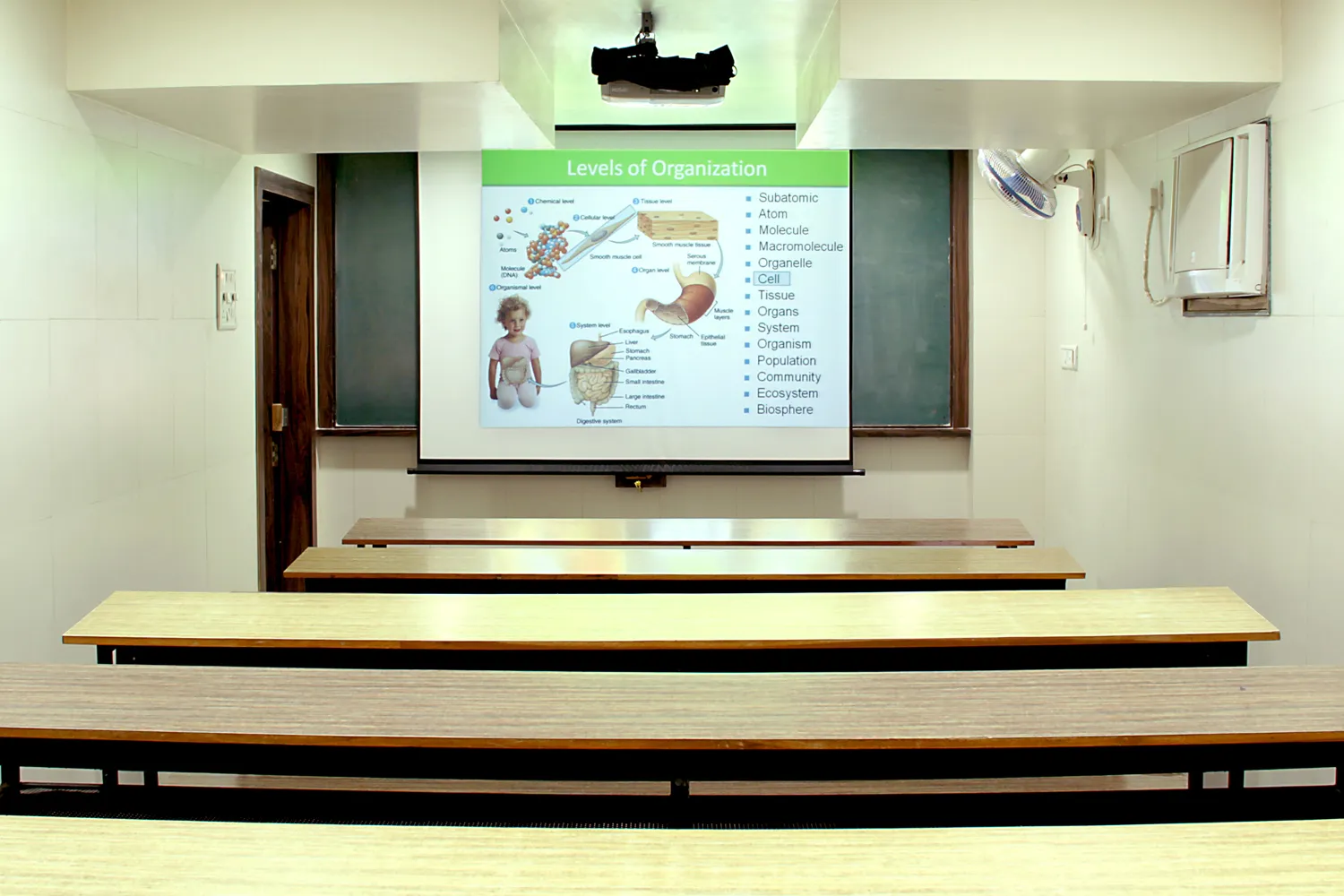 Gallery 9